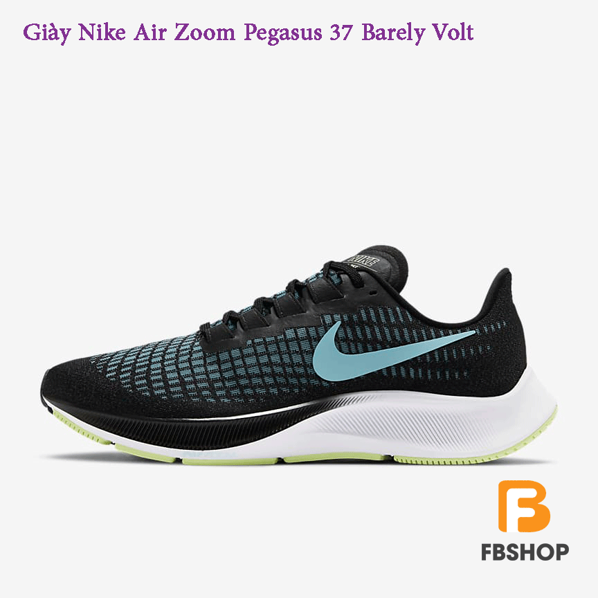 junior pegasus 37