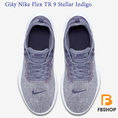 Giày Nike Flex TR 9 Stellar Indigo