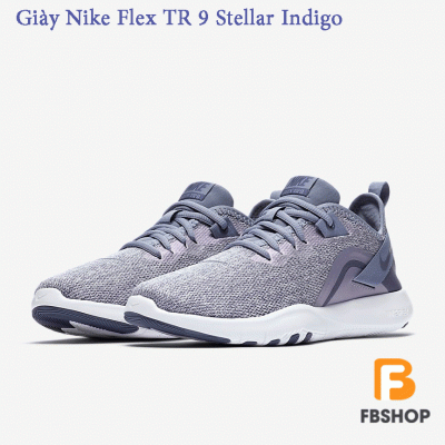 Giày Nike Flex TR 9 Stellar Indigo