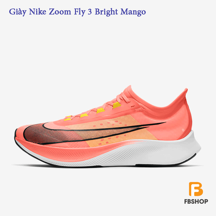 fly zoom 3