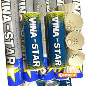 Ống Cầu Lông Vina Star Xanh Tập Luyện | Cầu Vina Star Ống 5 Quả