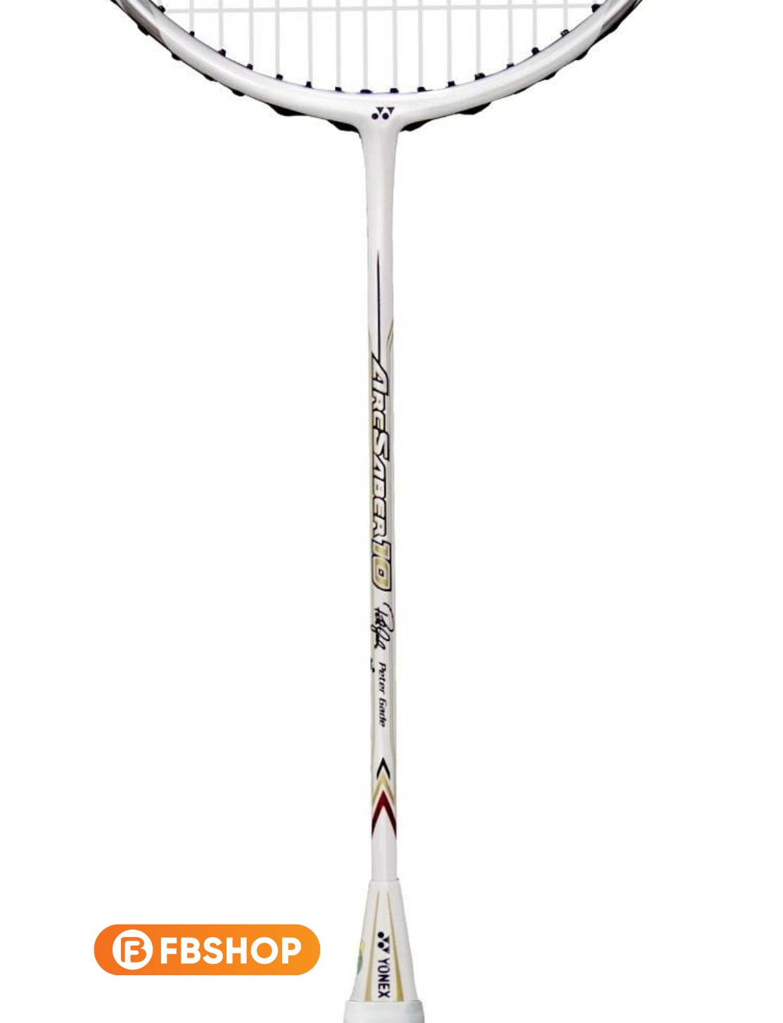 Các công nghệ tích hợp trên Yonex Arc 10 PG