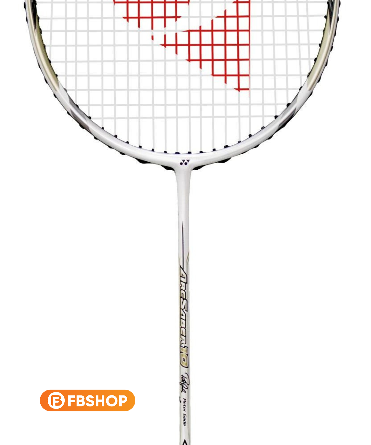 Arc 10 PG sở hữu nhiều thông số nổi trội