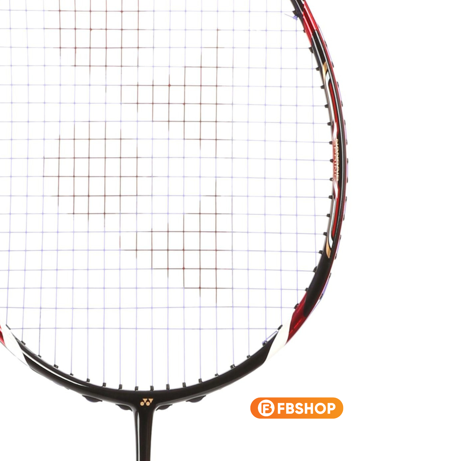 Review vợt cầu lông Yonex Arc 009 DX