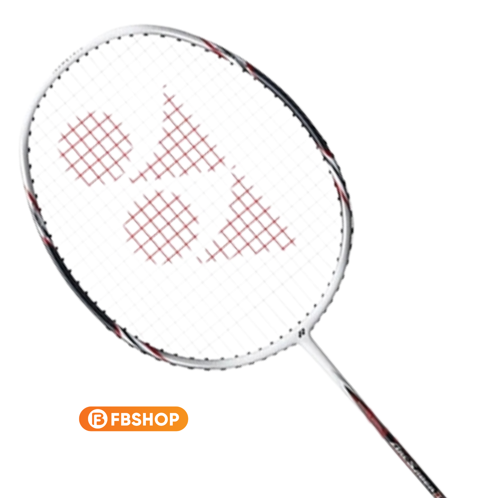 Thông số kỹ thuật của vợt Yonex Arc D11