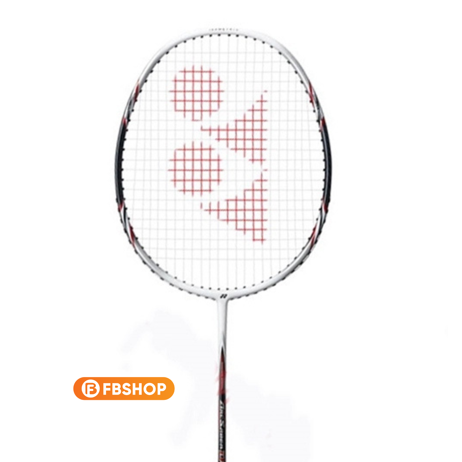 Đánh giá thực tế vợt cầu lông Yonex Arc D11