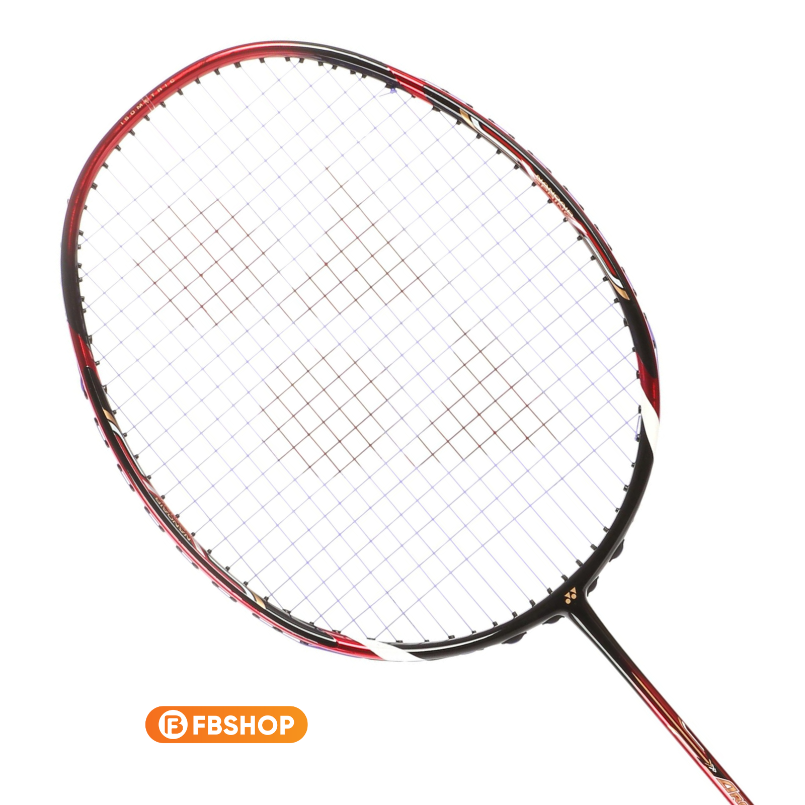 Thông số kỹ thuật của vợt Yonex Arc 009 DX