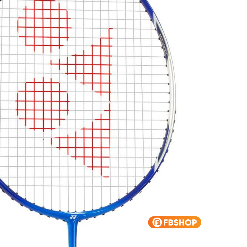 Thông số kỹ thuật của vợt Yonex Arcsaber D6