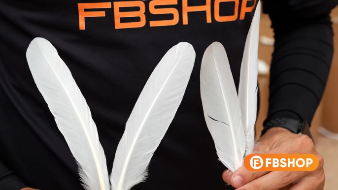 Quy trình tuyển chọn lông vũ khắt khe